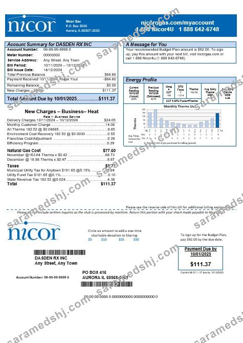 USA Illinois Nicor gas business utility bill template in Word and PDF formats